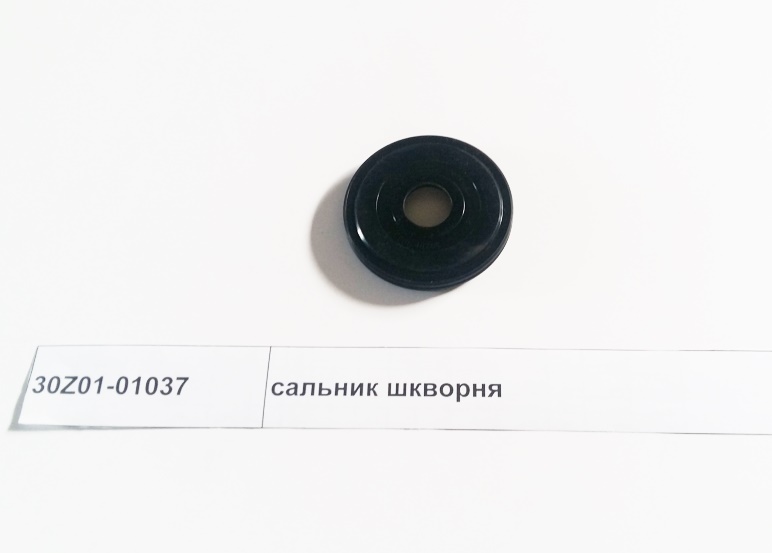 Сальник шкворня